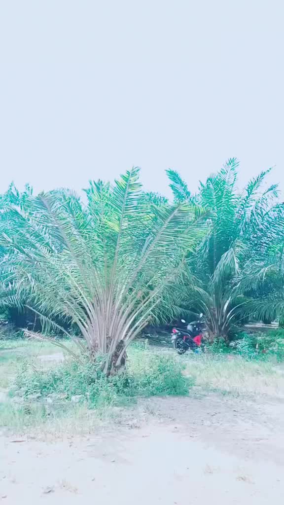 @🥀SR Shitra🥀
