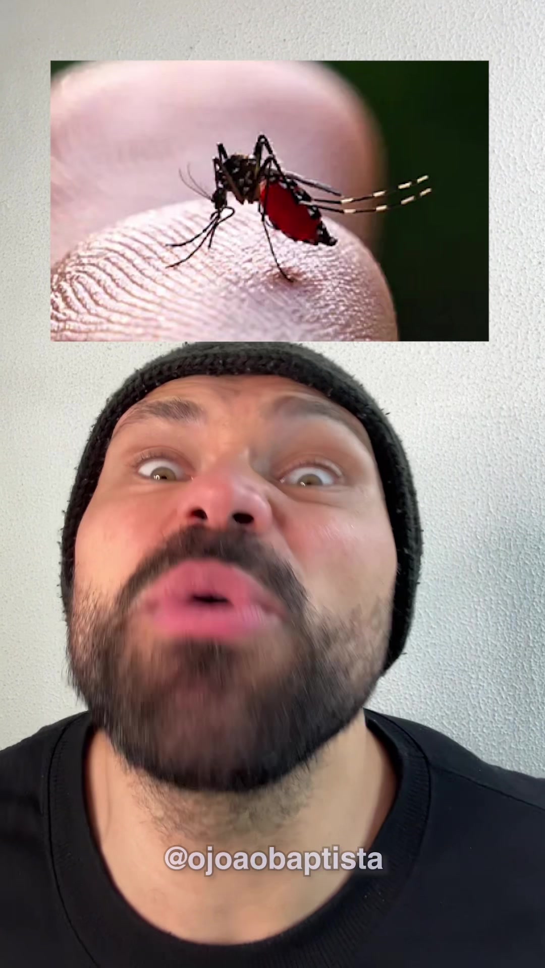 @João Baptista
