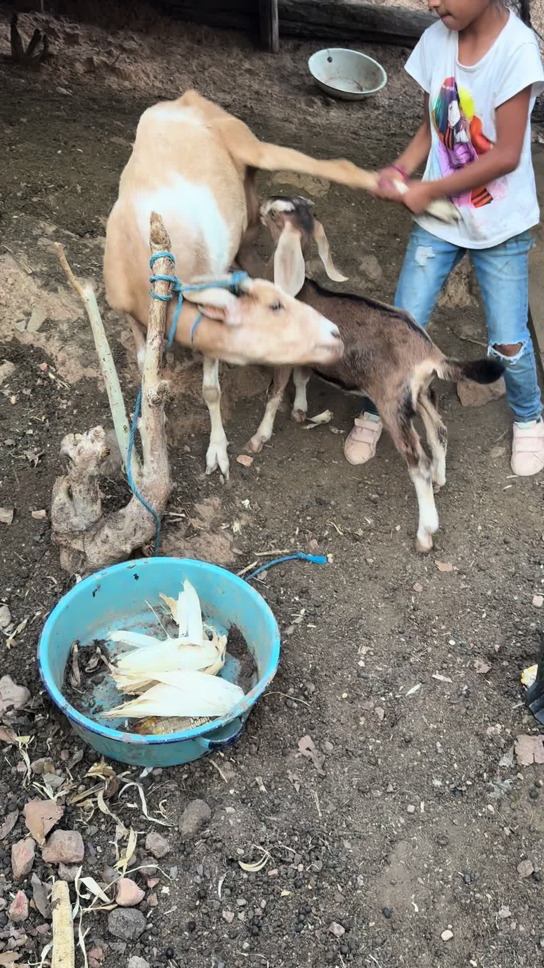 @Moy Osuna