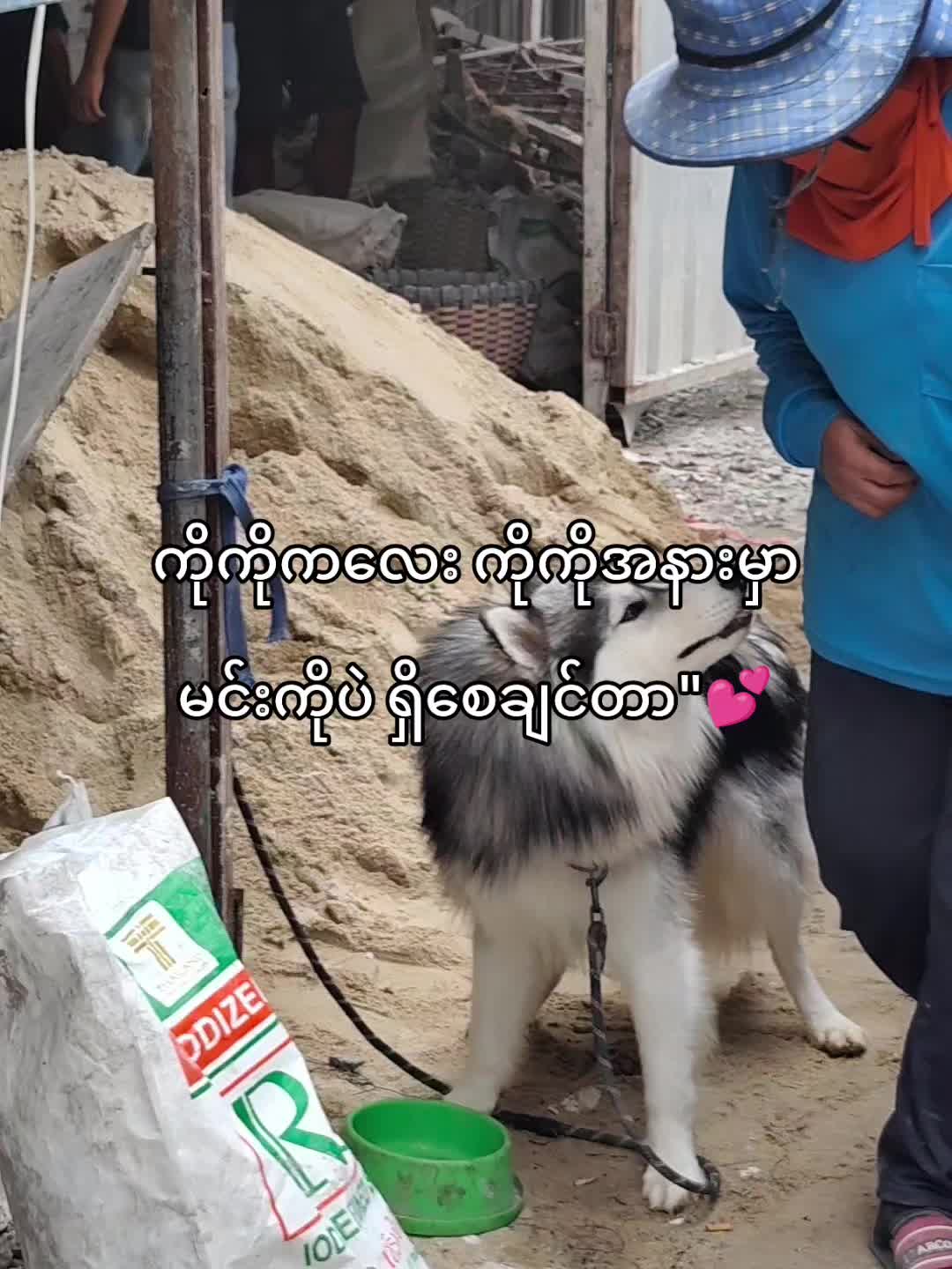 @爱&bull;|❥𝑨𝒖𝒏𝒈ꫛ-✰ᥫ᭡🌷🫶🏻