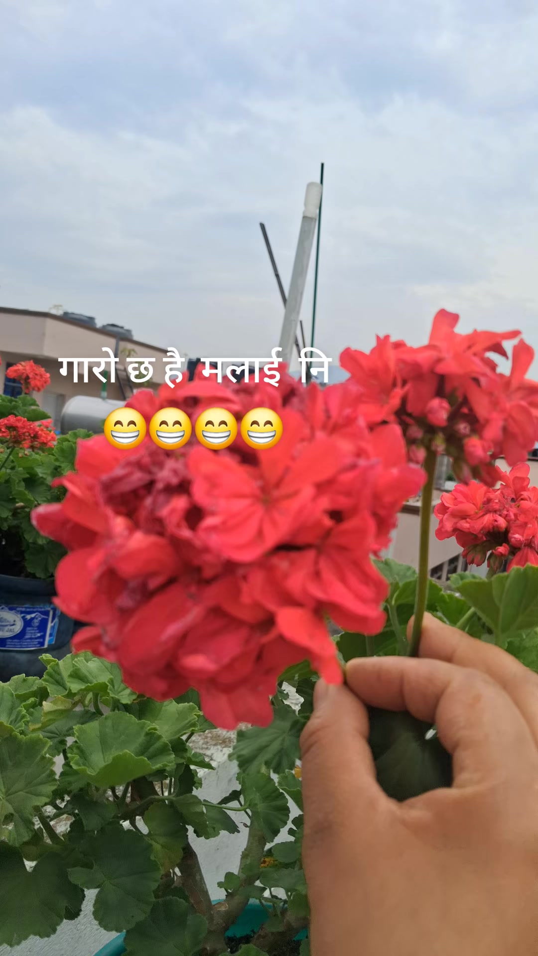 @kalakhadka