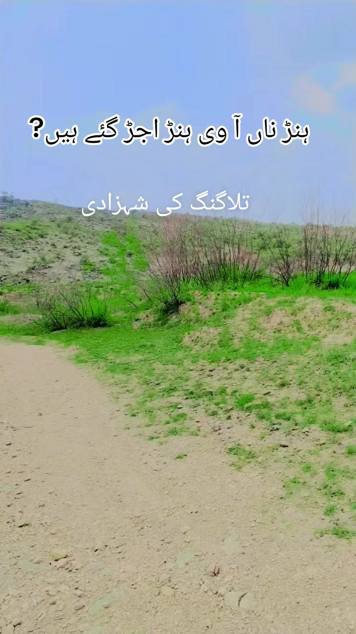 @🌹Raheela❣️Ali🌹