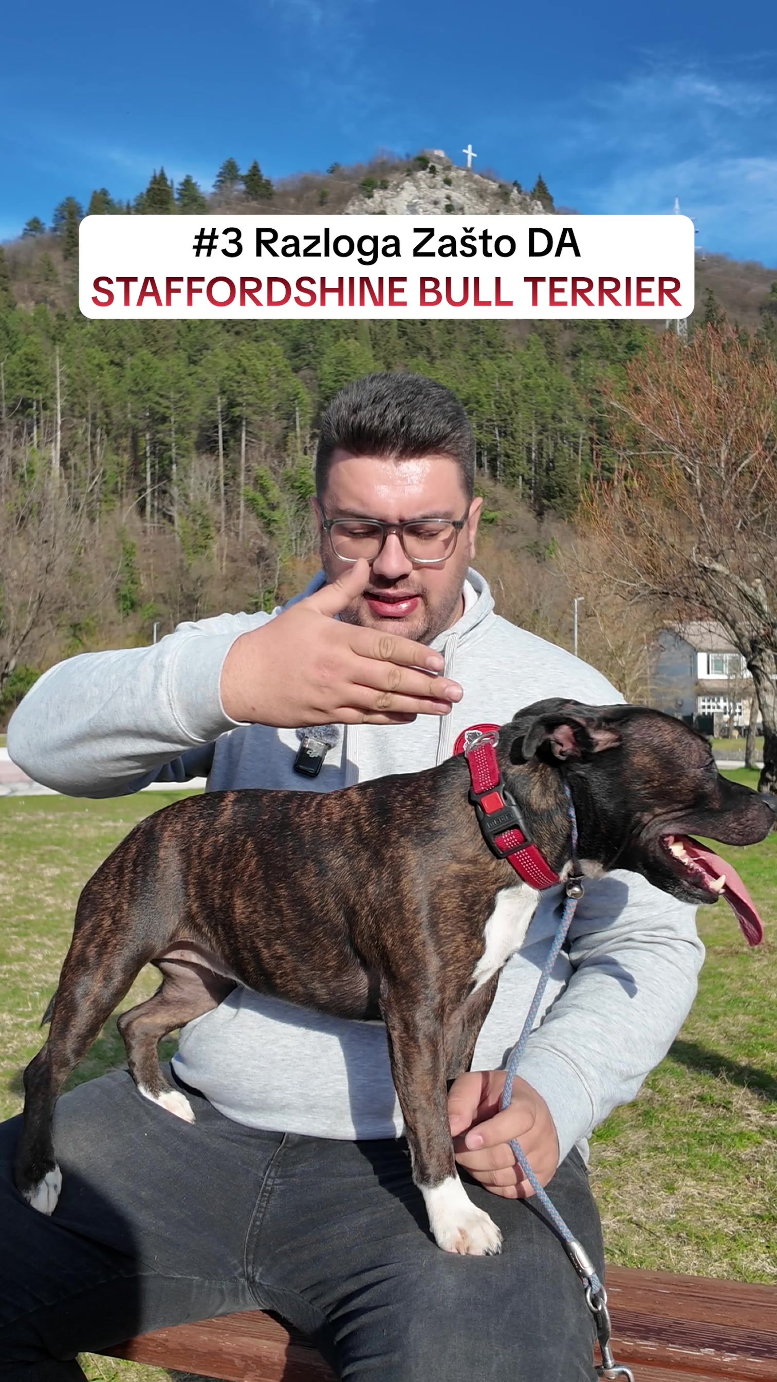 @superdog.akademija