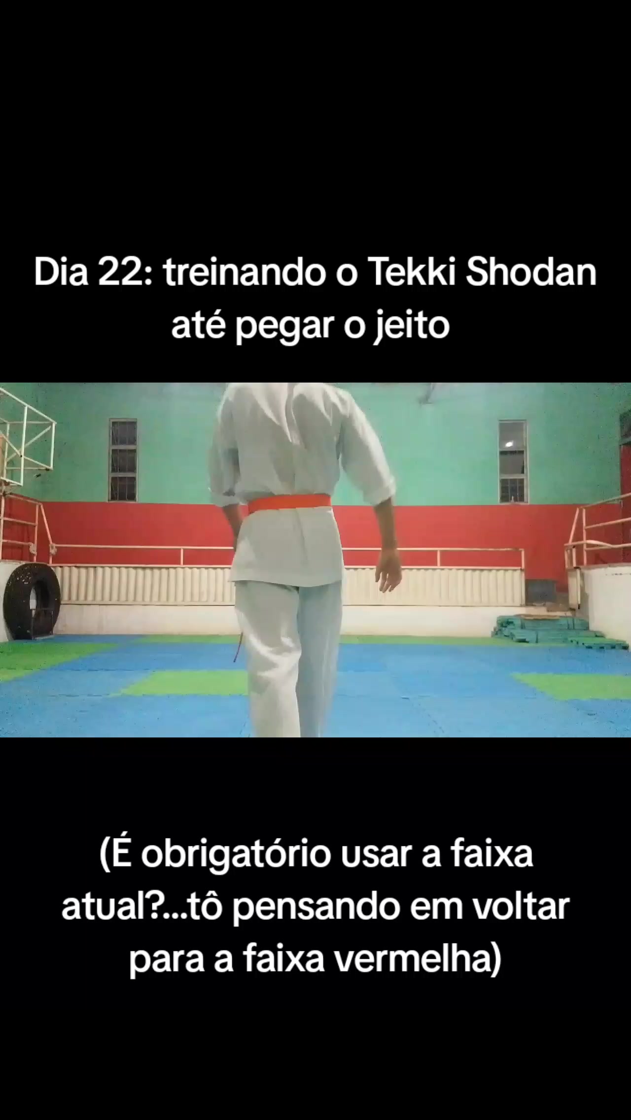 @ZXEverton_Aylan(the grappler)