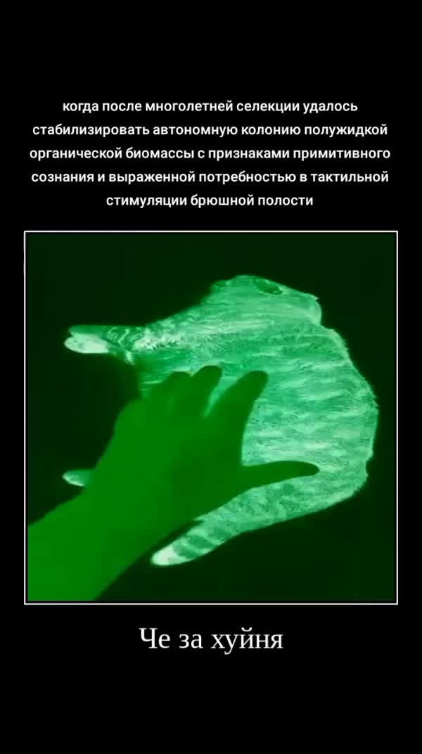 @Арсений🎀
