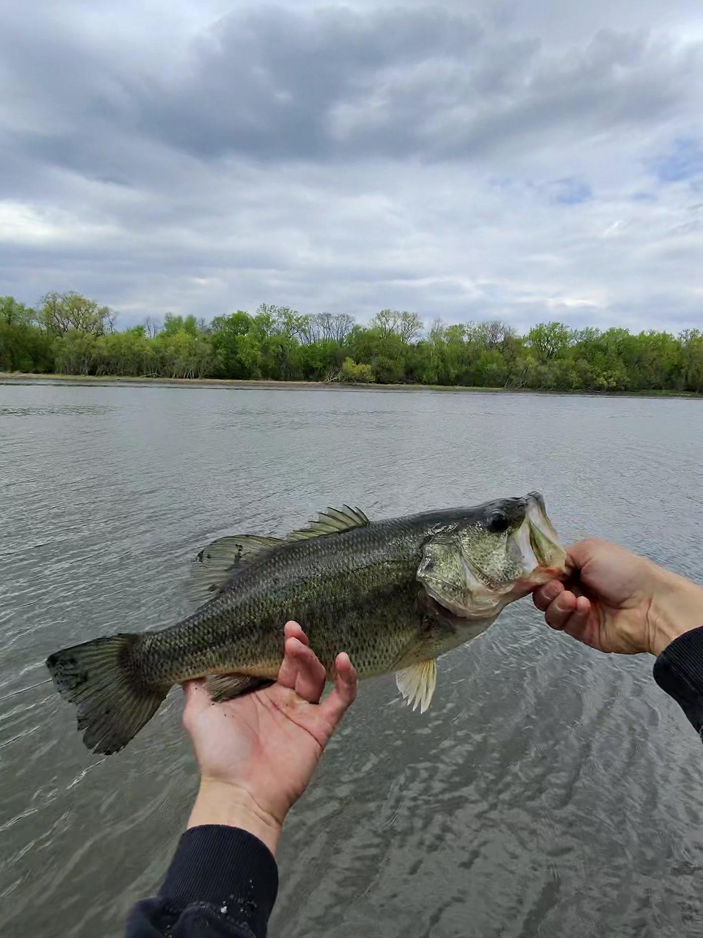 @PickleFishin
