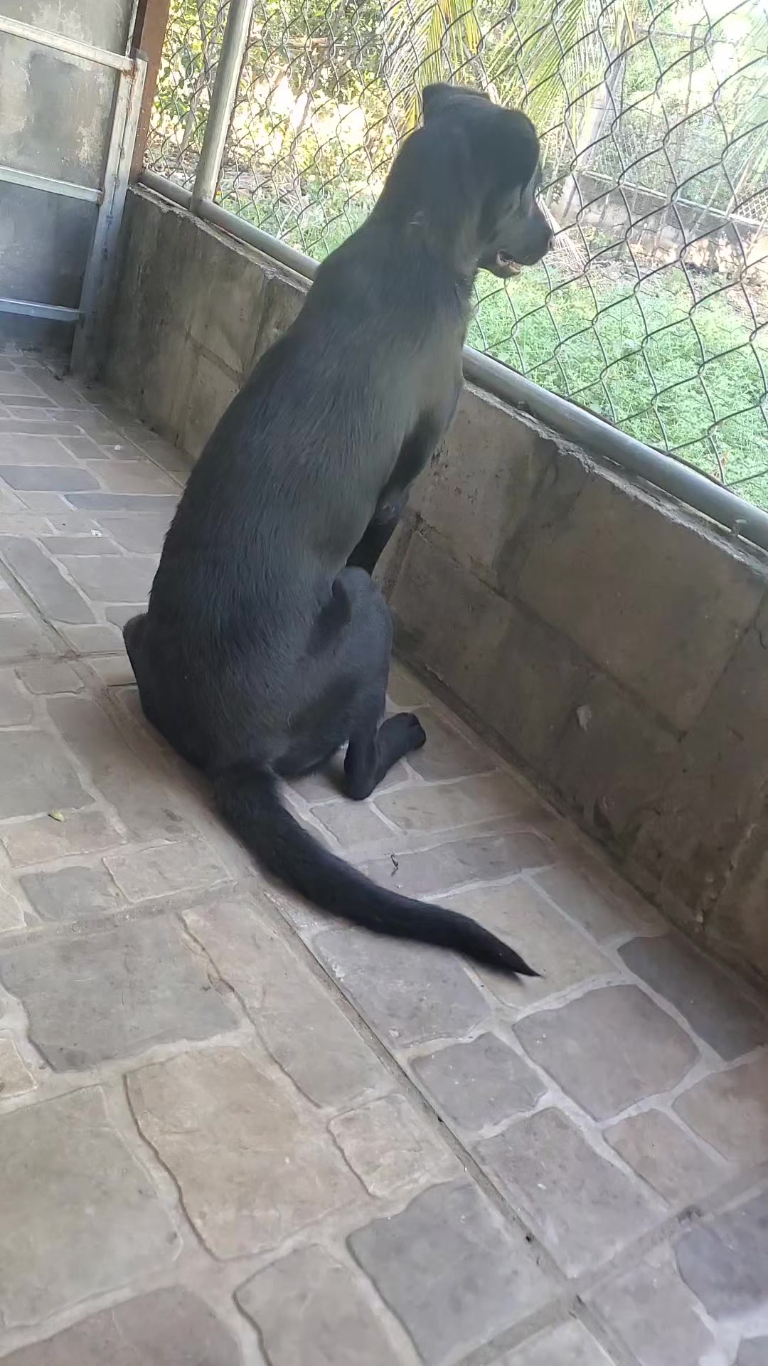 @Soy Sasha🐶