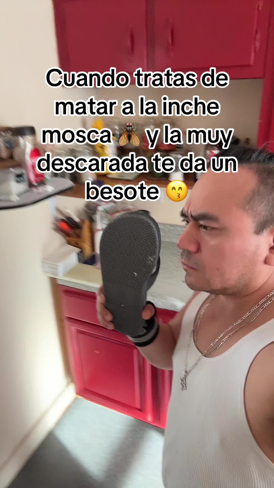 @noeacatecatl