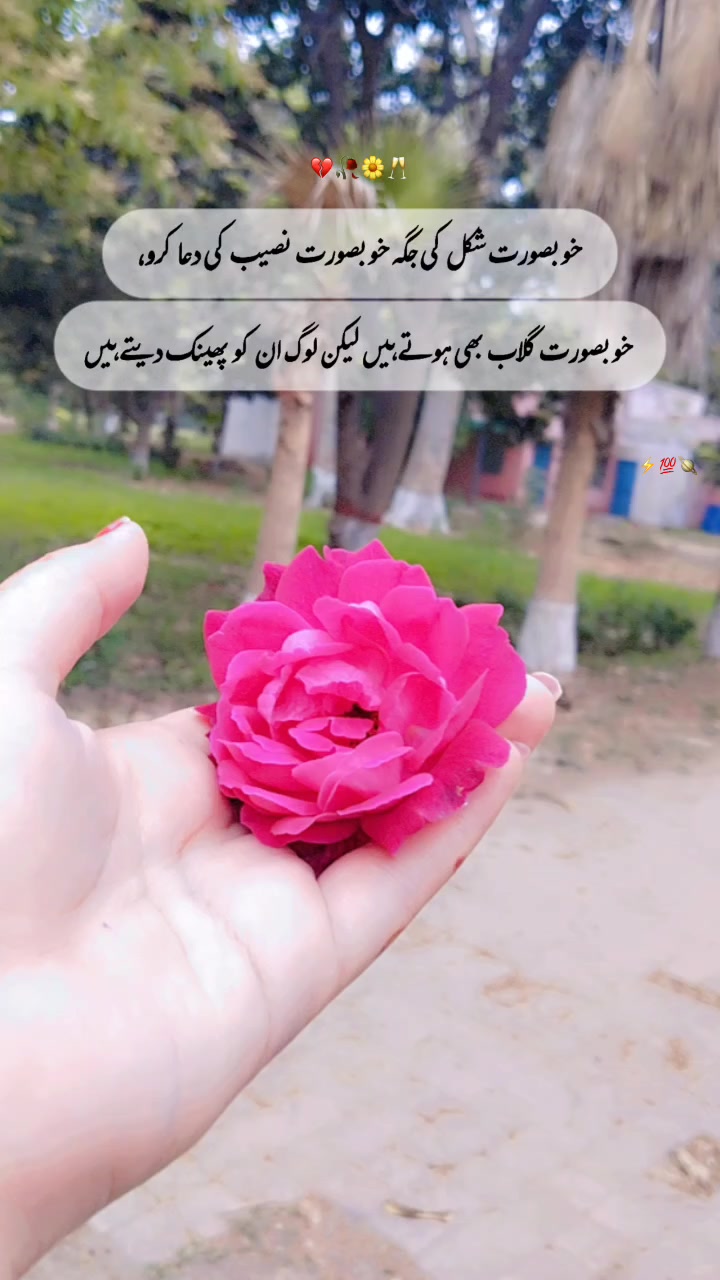 @ᾰԻ✺ṧℏ кᾰ⑂ᾰ&alefsym;!