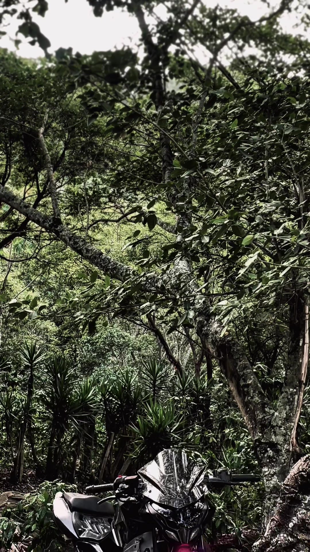 @ . >niñotrueno🦥🌫️🦦