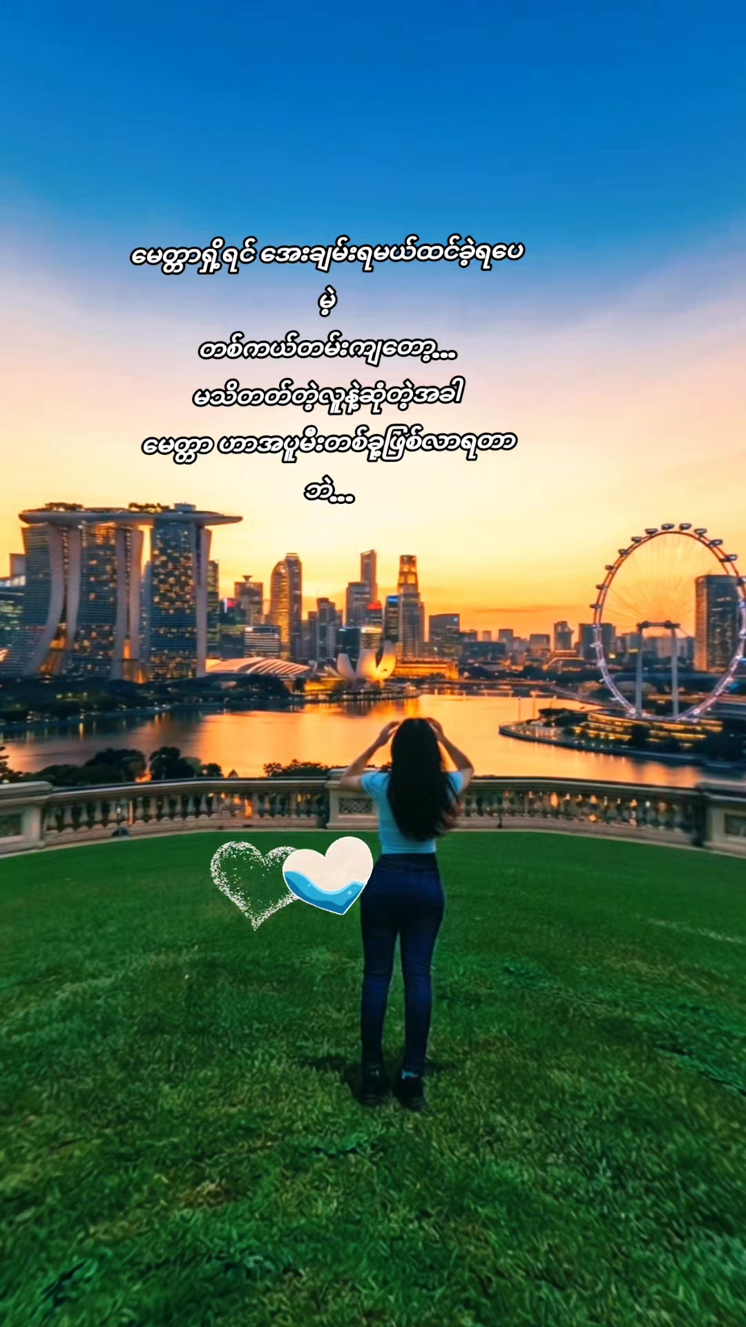 @đ˛đ˛Sun Flowerđťđłđąđťđ¸đŹ