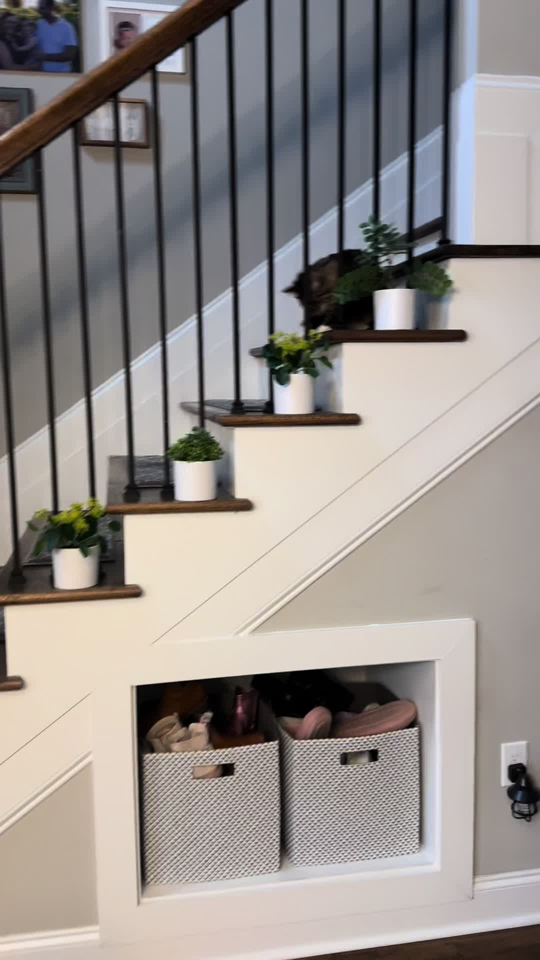 @trinyd423