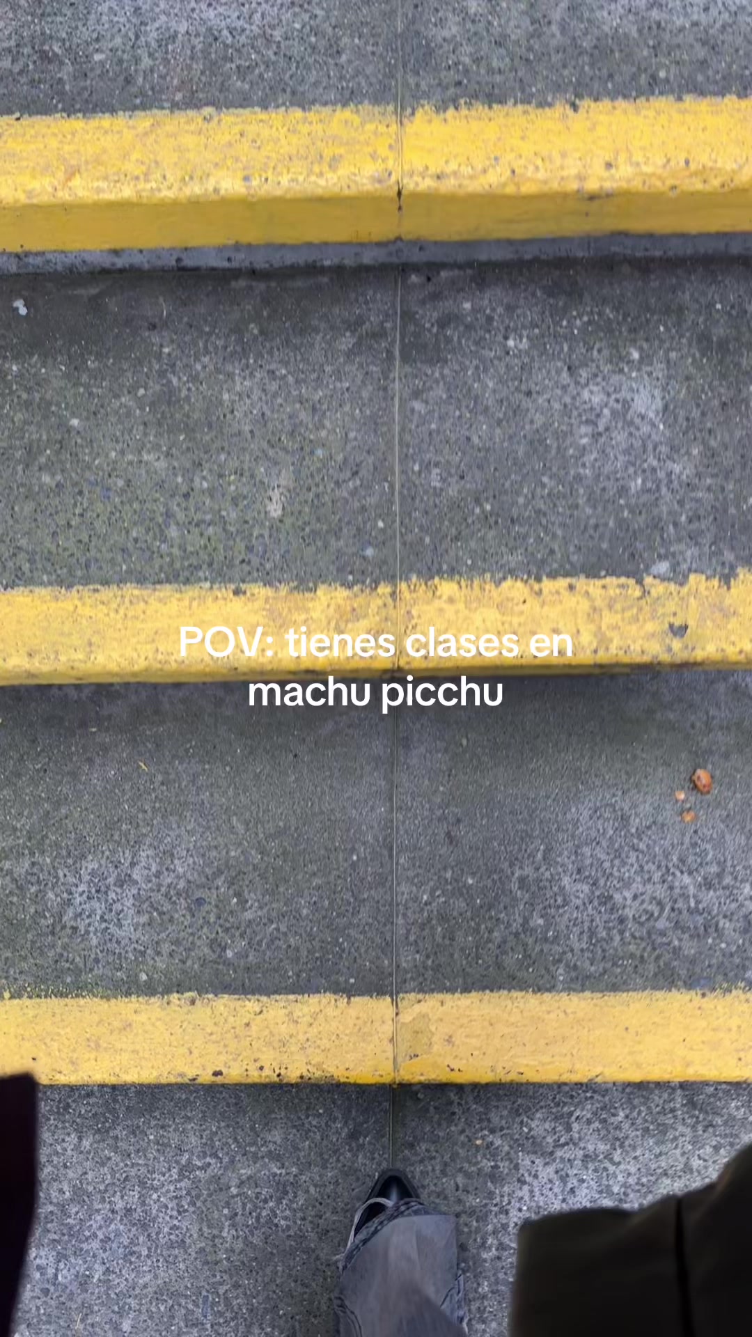 @Andrea Favilla