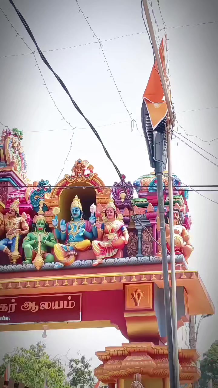 @𝙽𝚊𝚝𝚑𝚒𝚜 🐅 🇦🇺