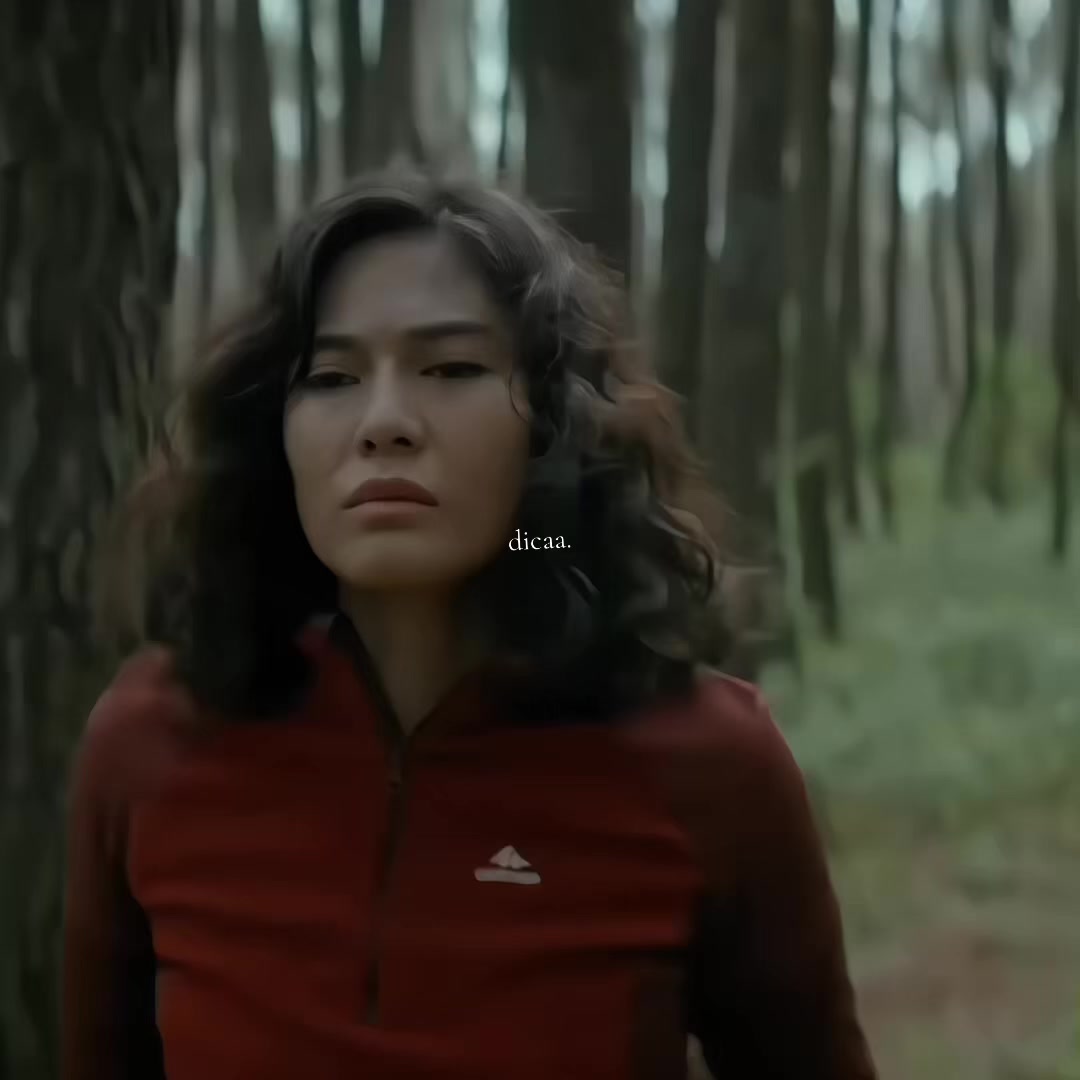 @dicaa