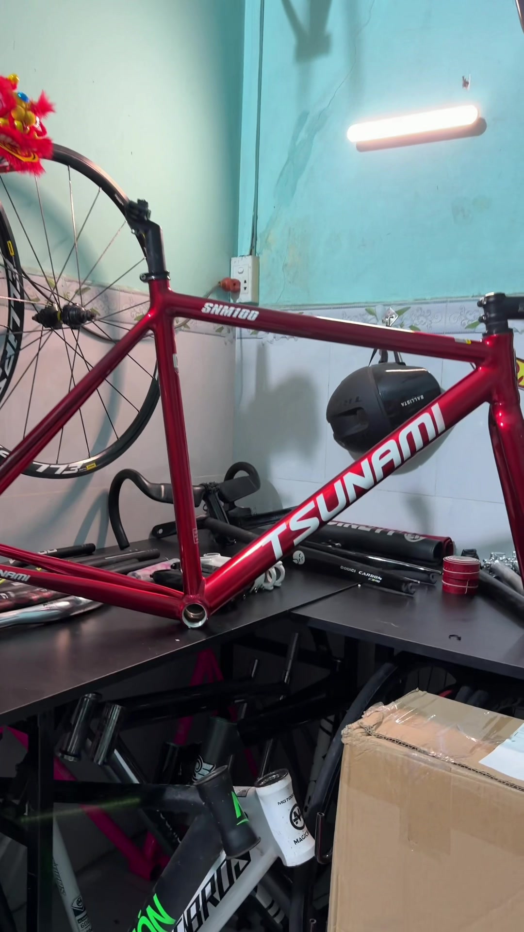 @Fixed Gear No1