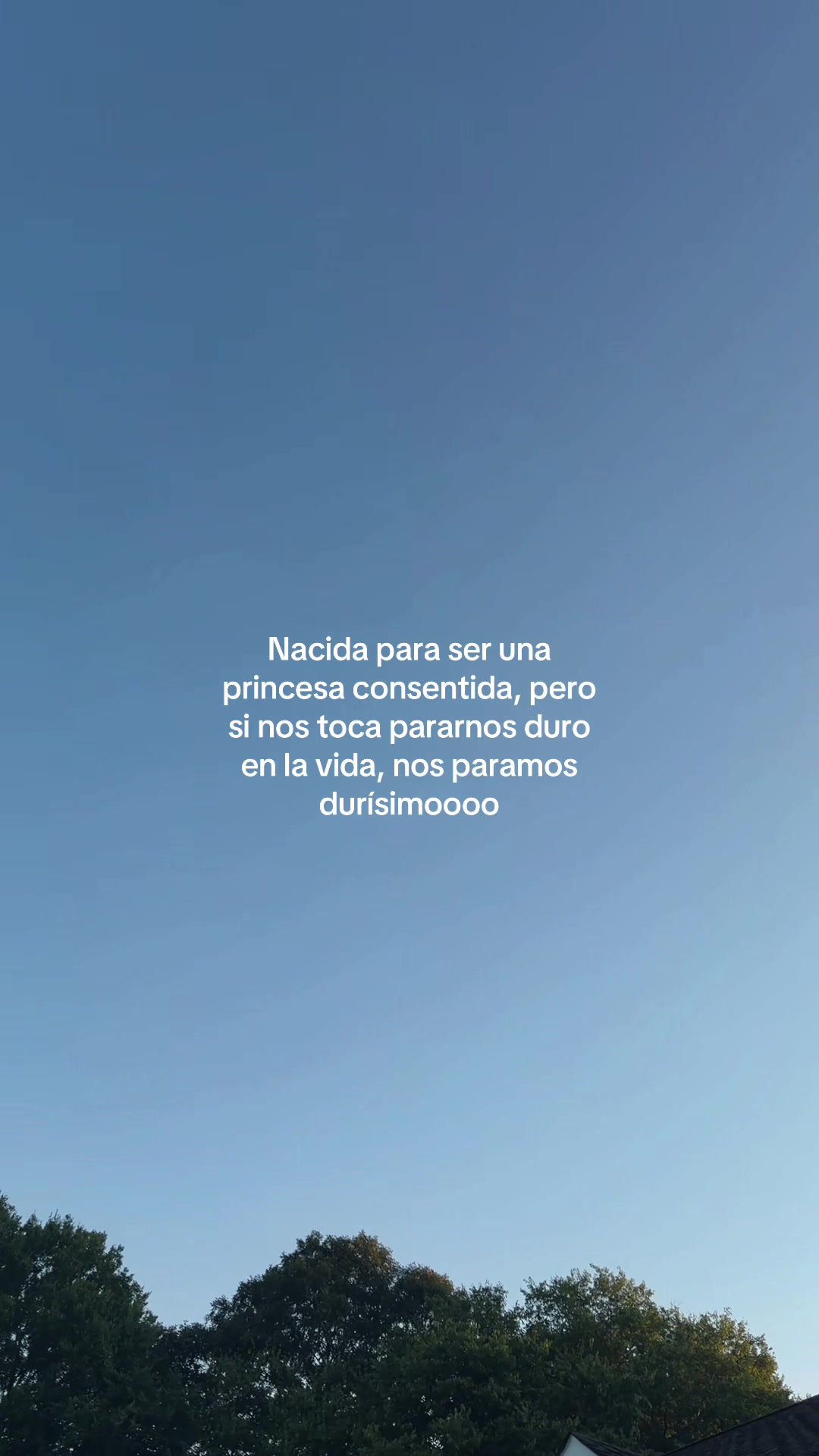 @&ldquo;Voces del Eco&rdquo;