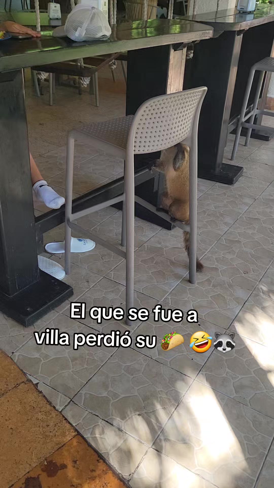 @Yazmin Barajas