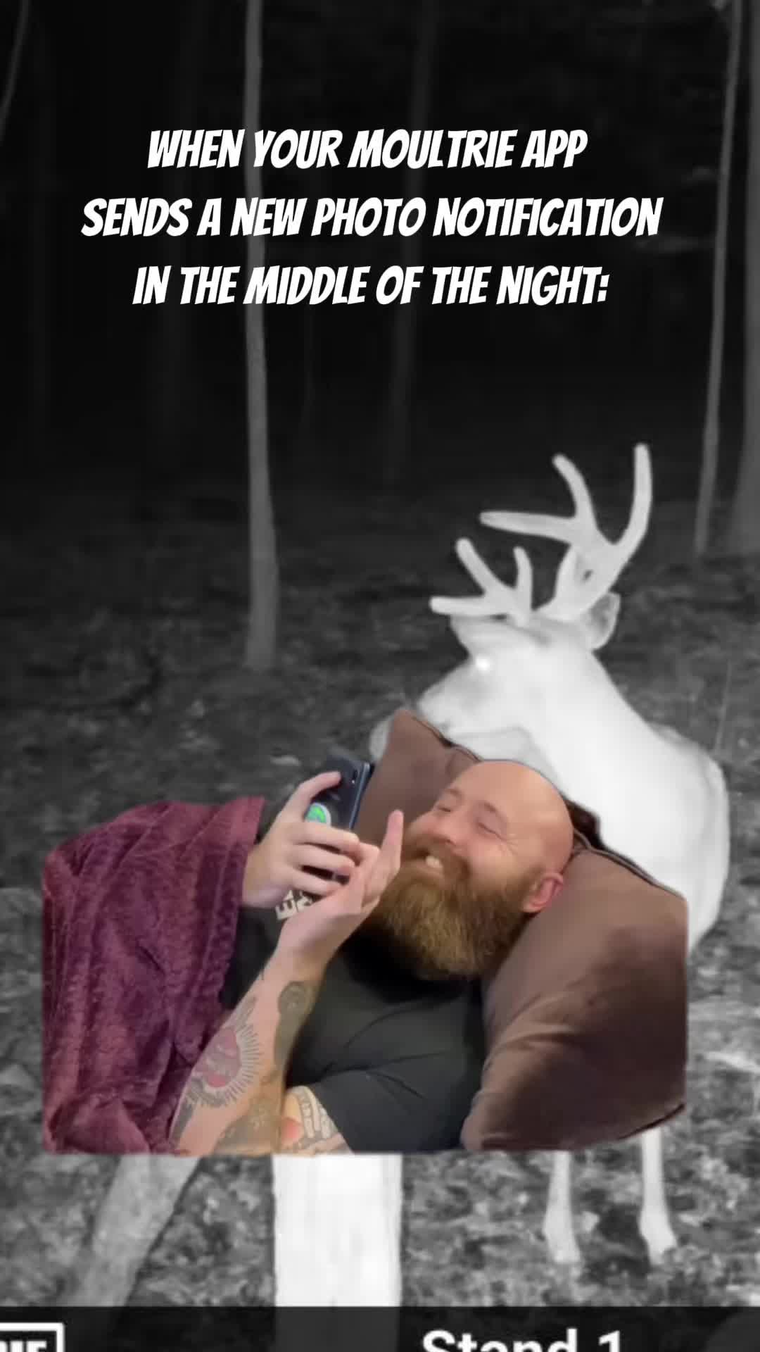 @Lilwolf