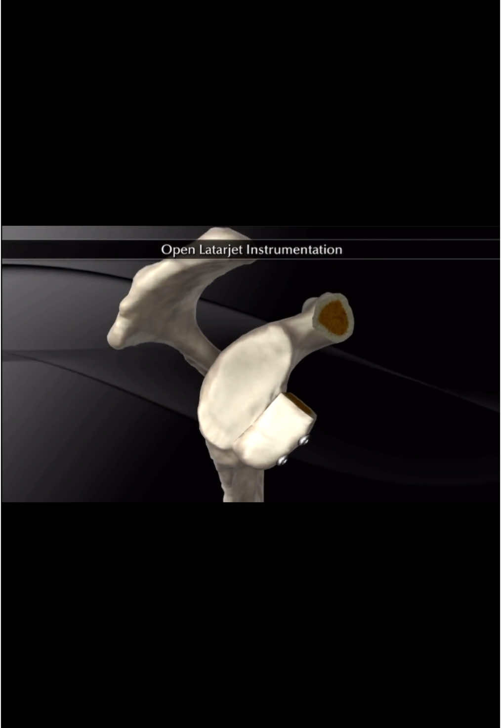 @Anatomias