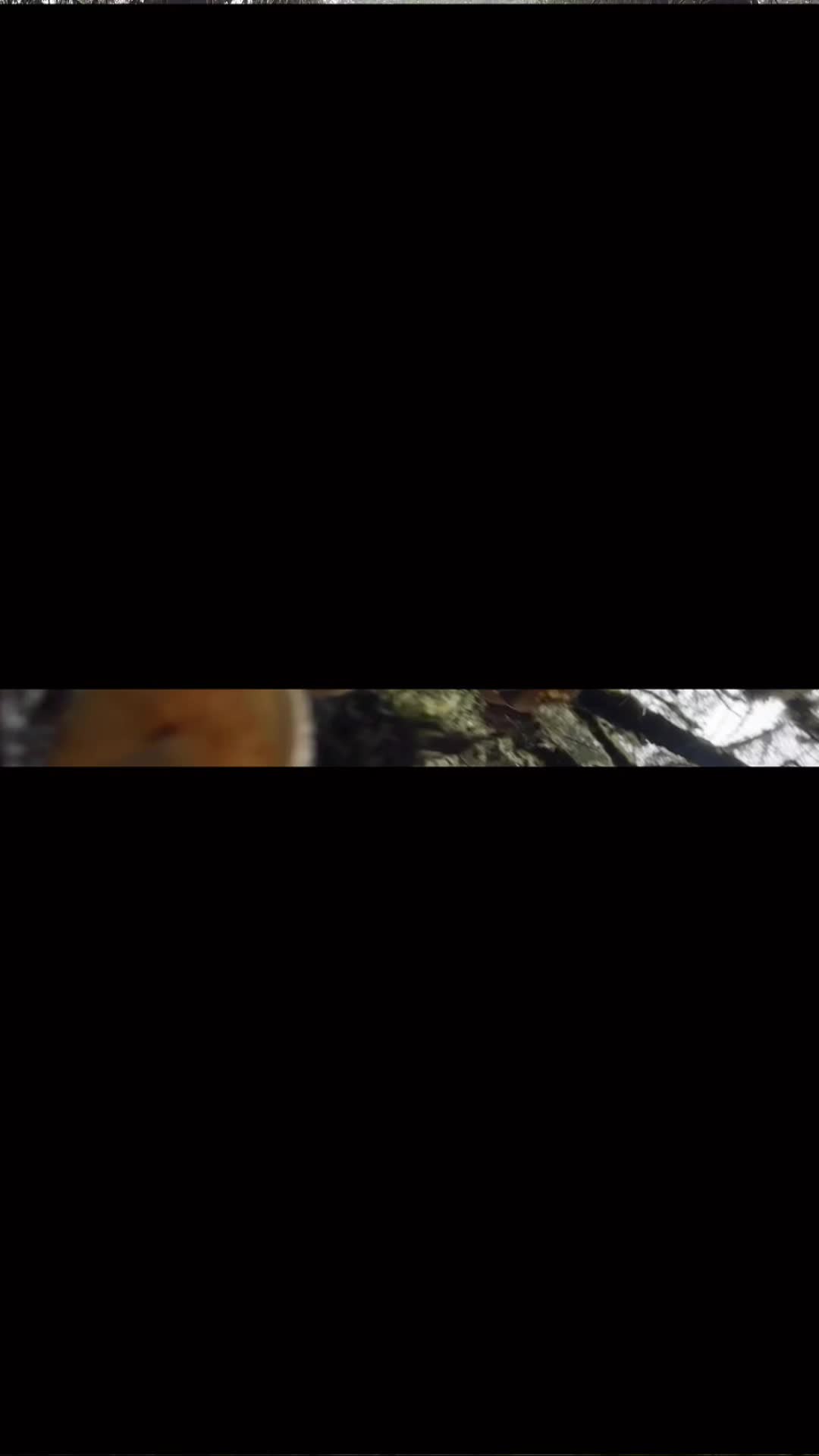 @wildernesswithangela