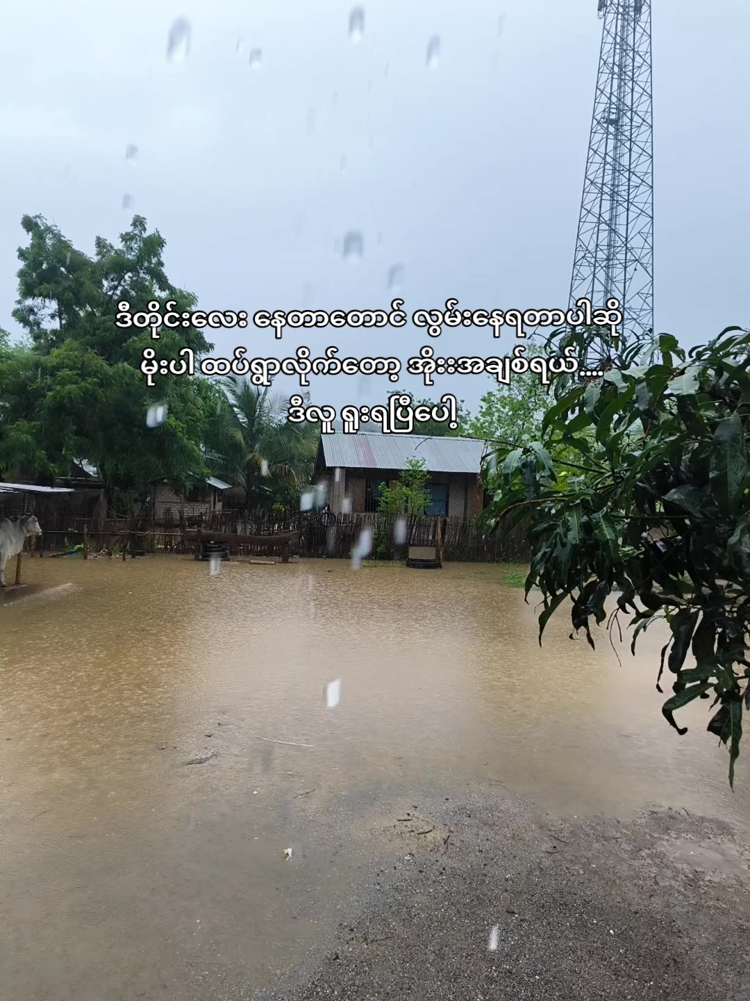 @🍃အမ်"Bi🍀