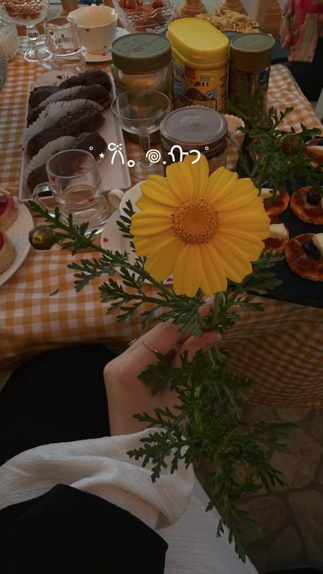 @๐ฟ๐ ๐ฝ๐๐๐๐๐๐๐ ๐๐