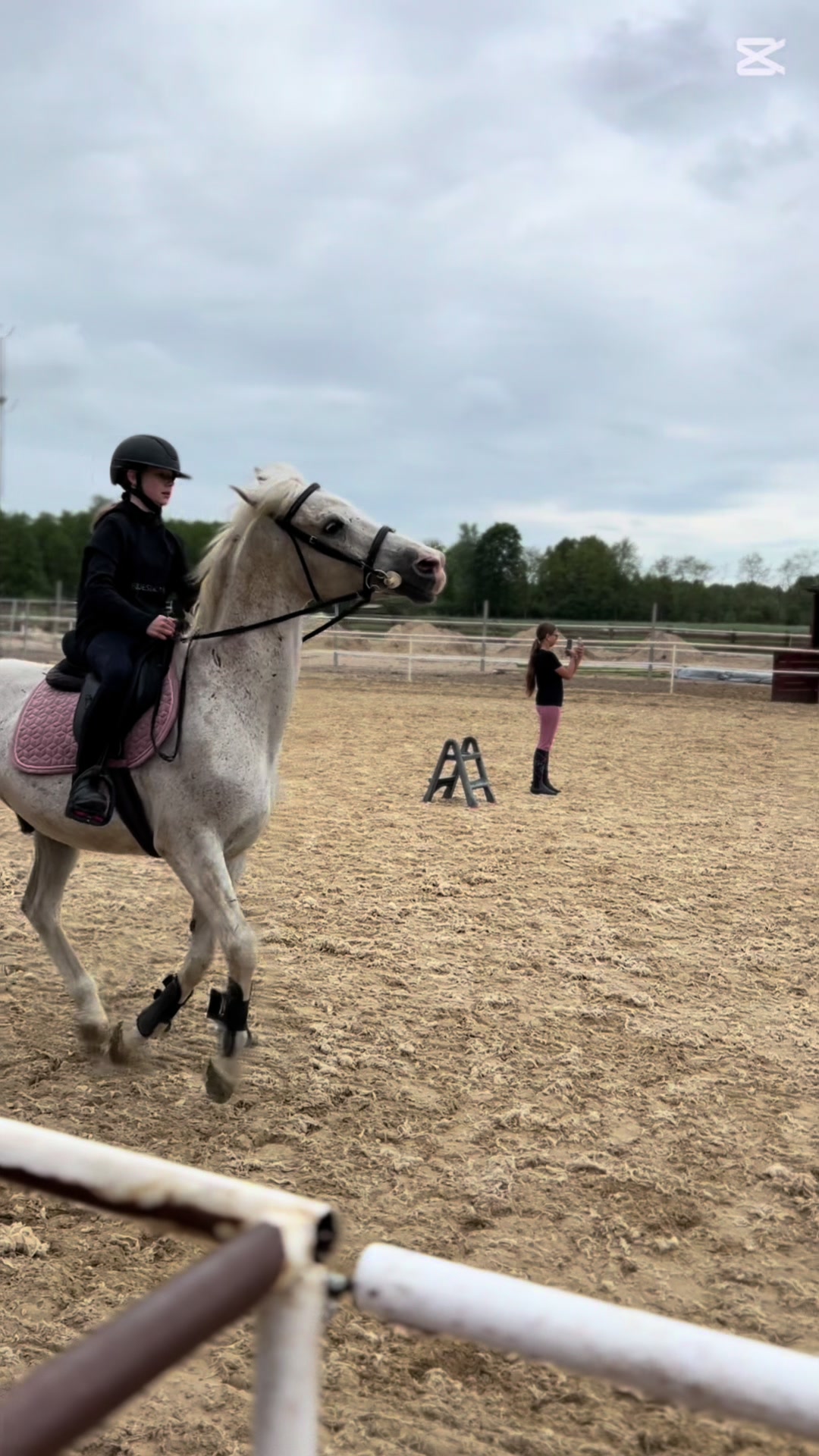 @😻🐴Eq._.N🐴😻