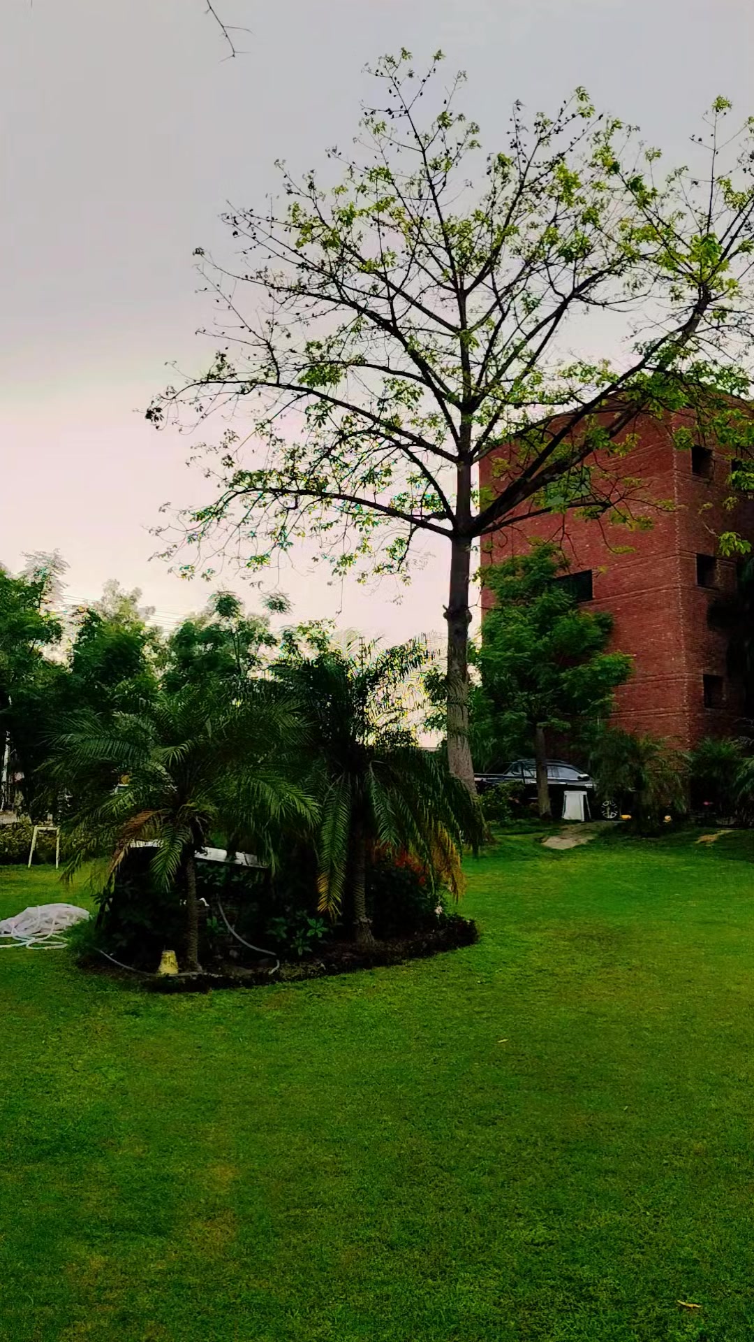 @KPIMS Peshawar