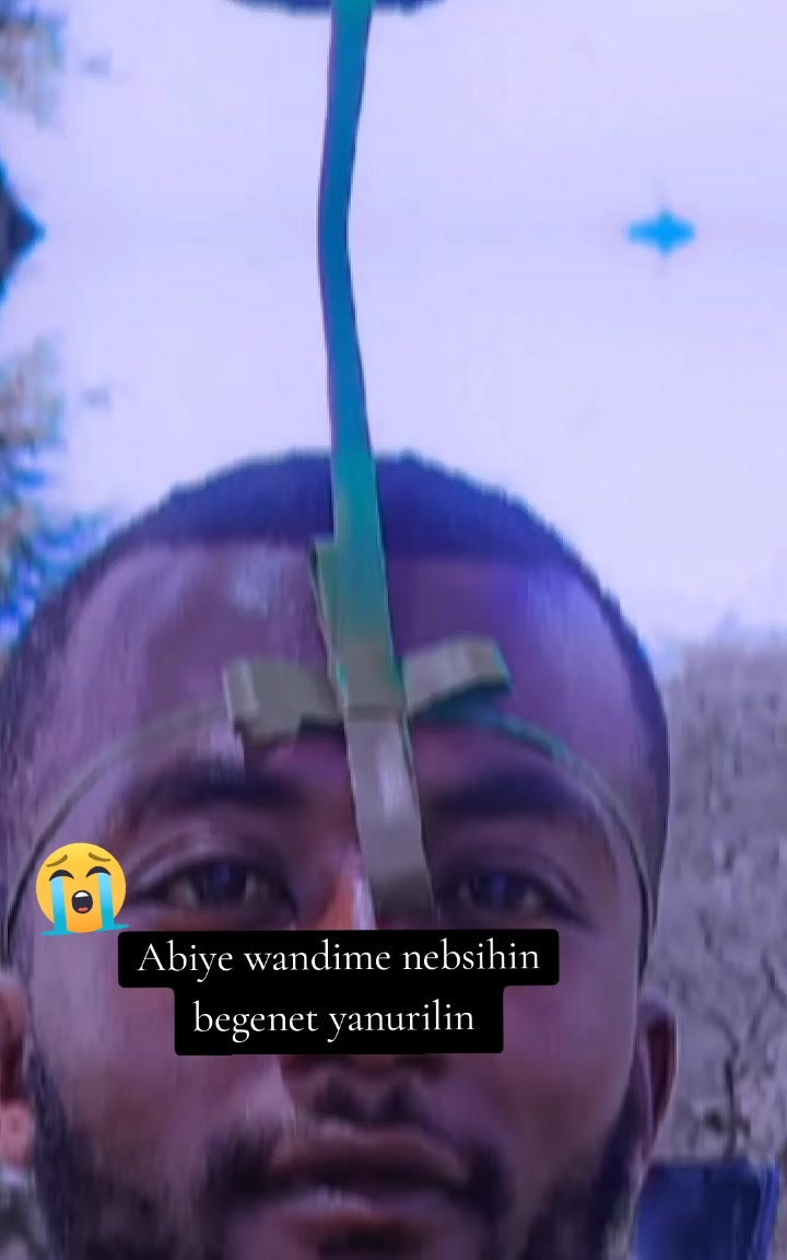 @Abreham mogos 14