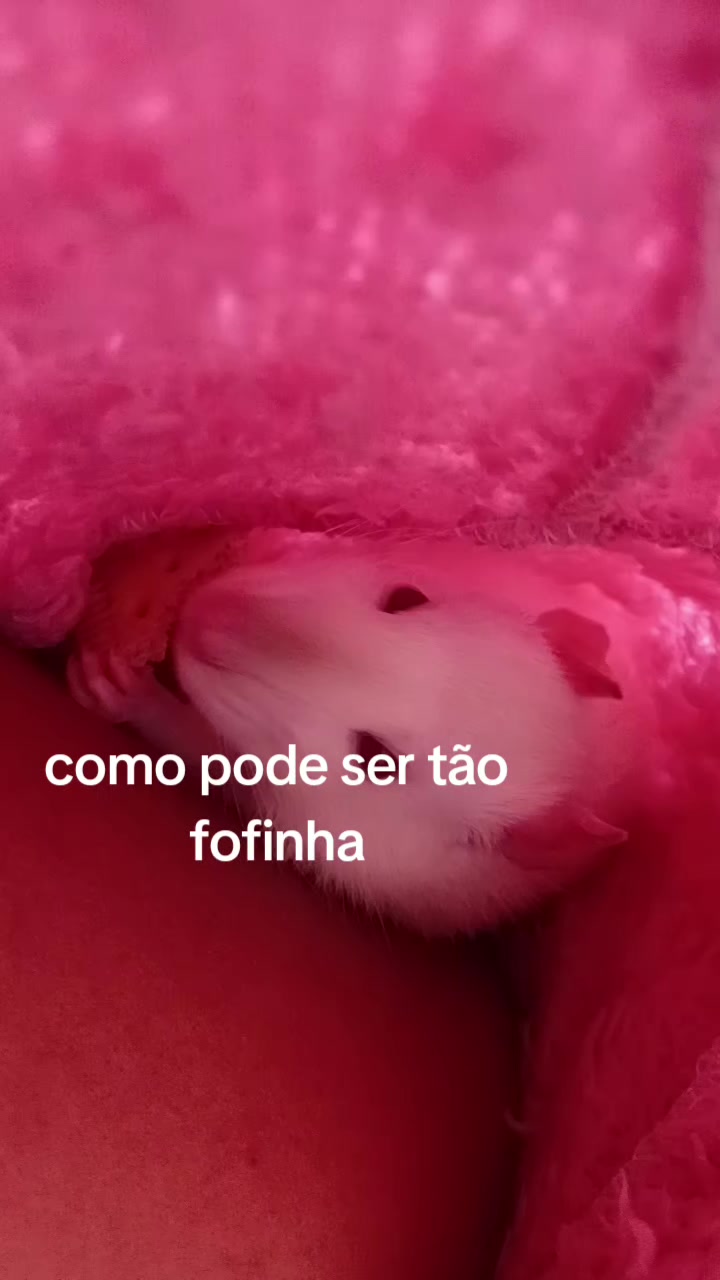 @cissarossato🍒😻