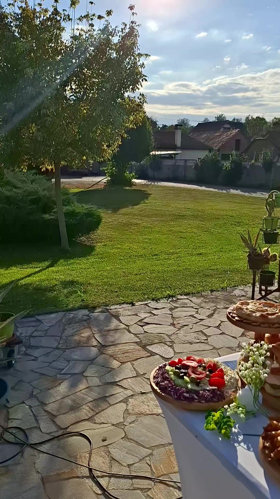 @nena_petrovic