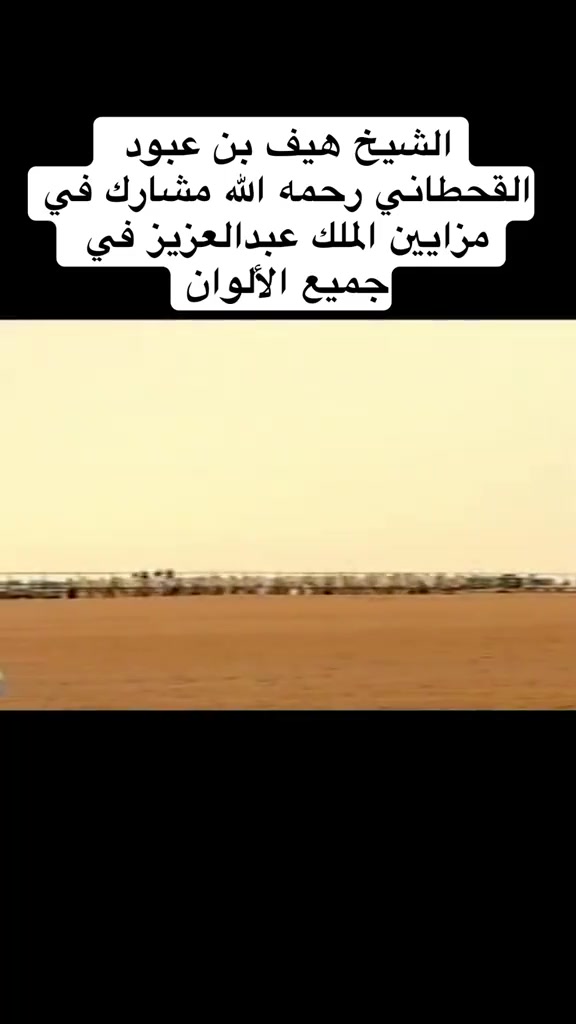 @رفيدة قحطان 🐎🇸🇦⚔️
