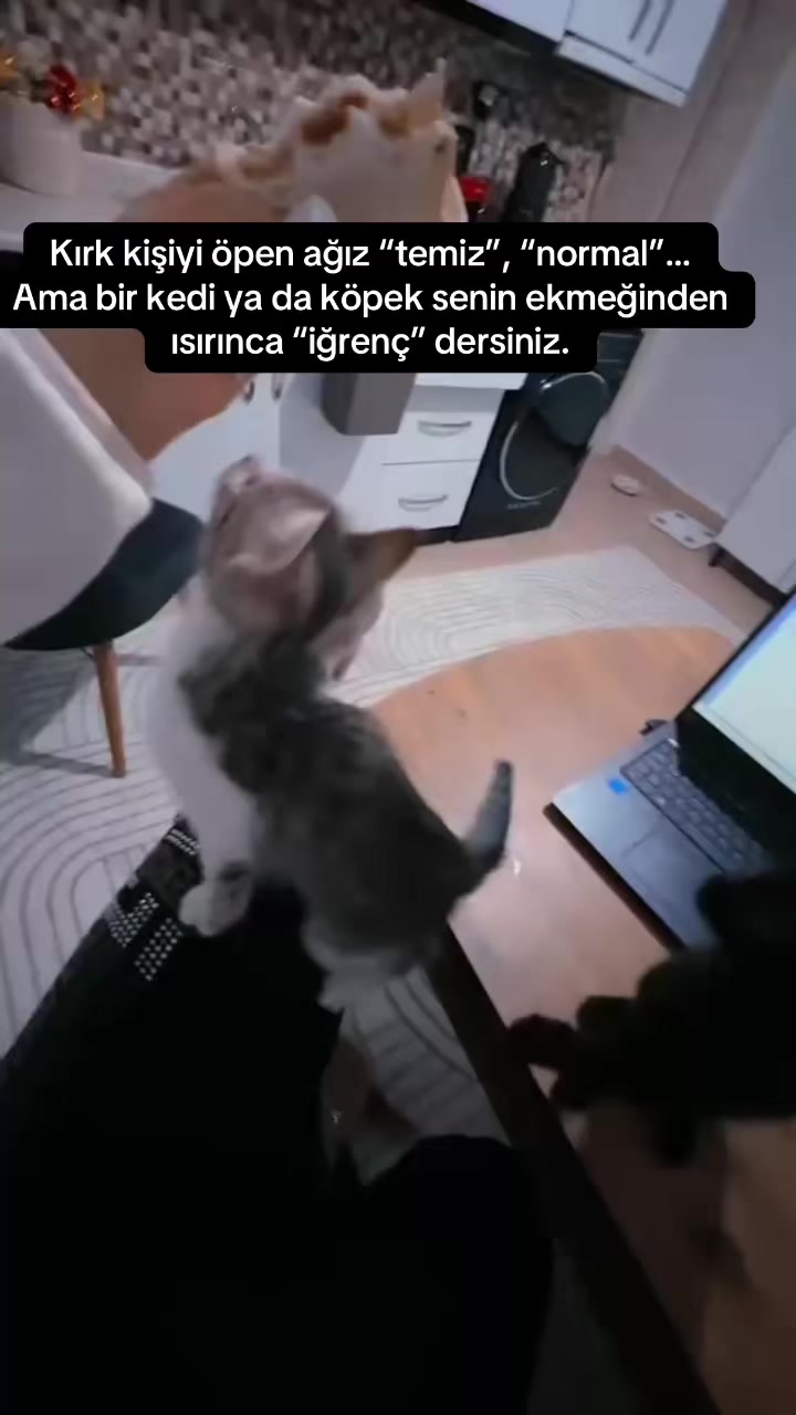 @Sezen damar❤️