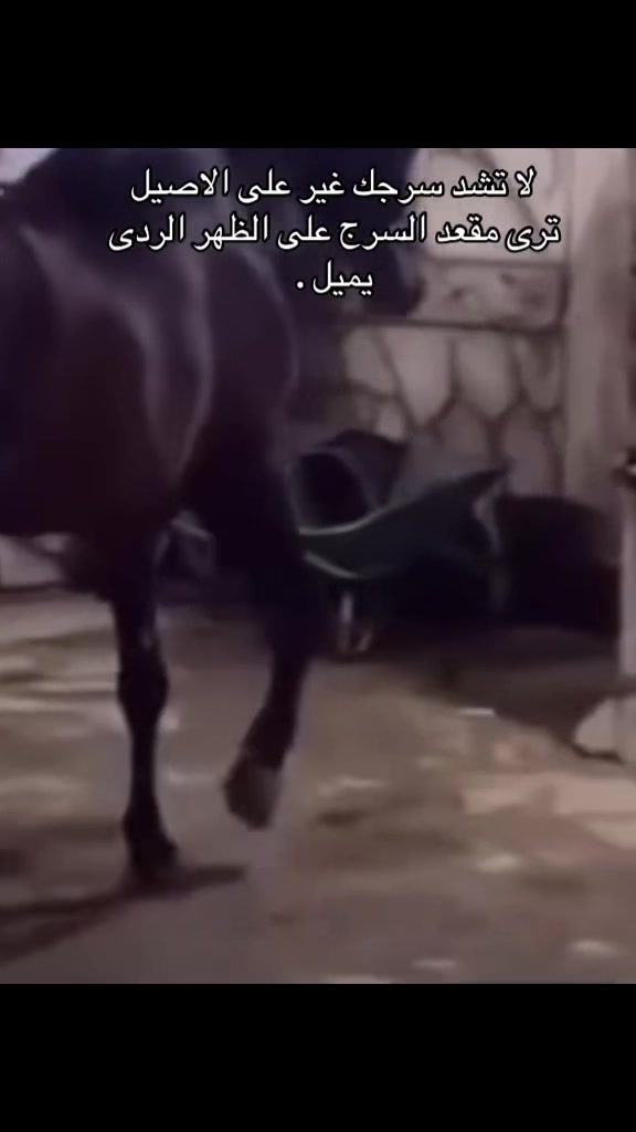 @🇯🇴صفياني ياعين ابوي🇸🇦