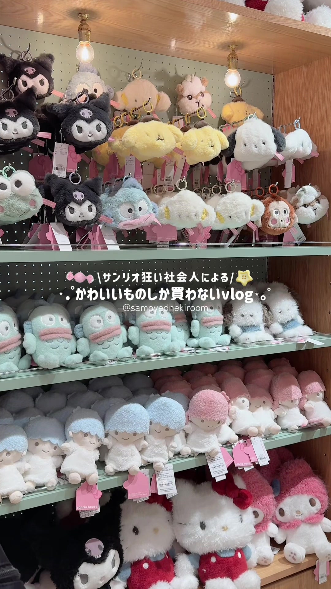@サモエドネキのお部屋