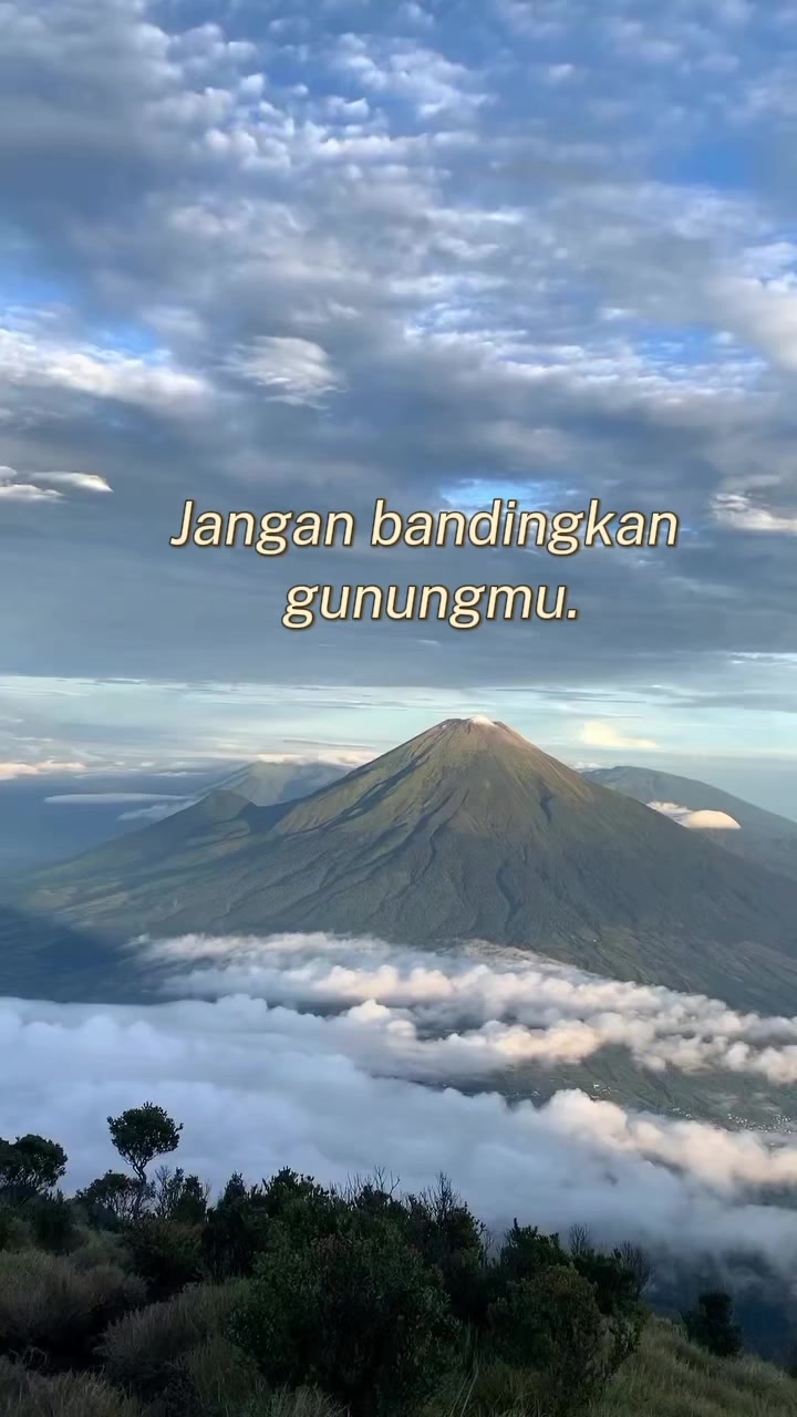 @Zaink Nst