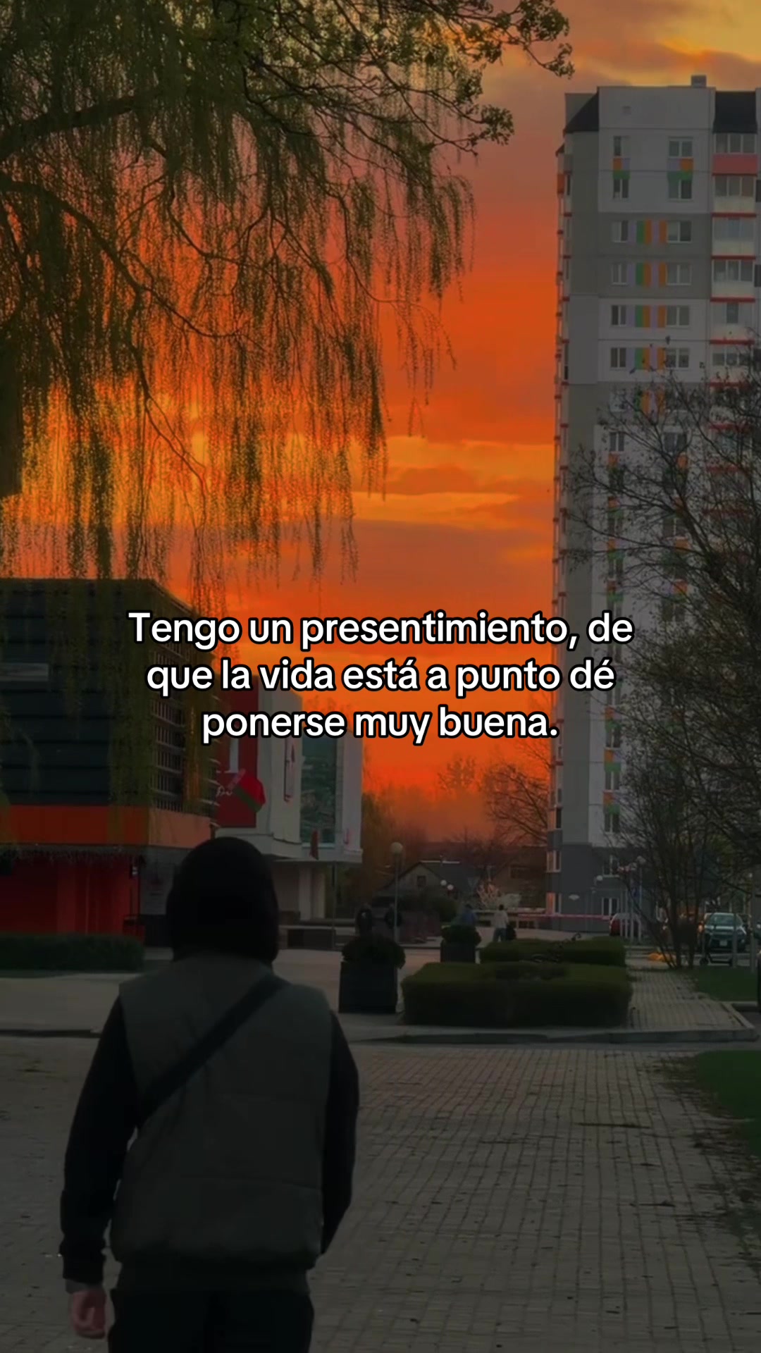 @emotivacion4