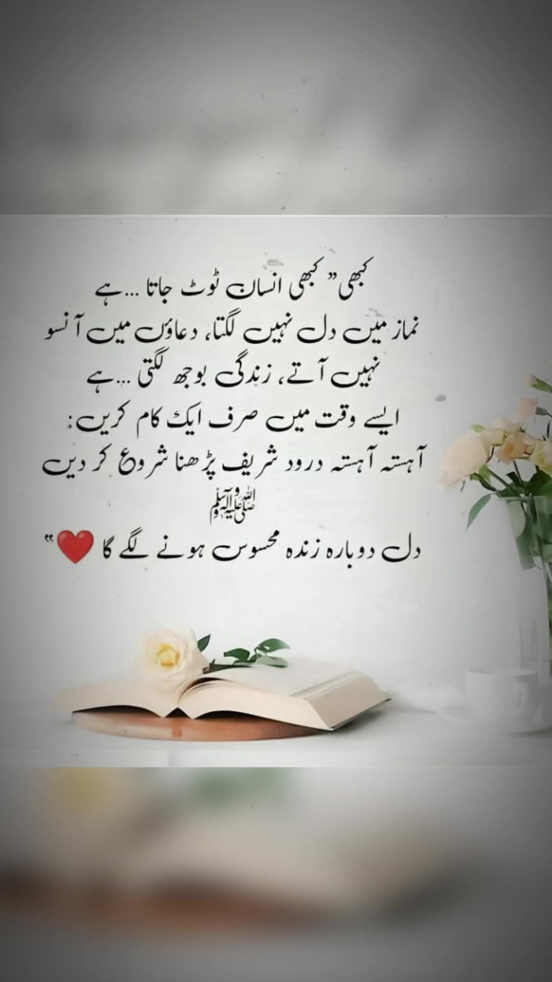 @❦︎❥︎mehar✰༆ ᶻᵘᵇᵃⁱʳ ༎ຶ✰