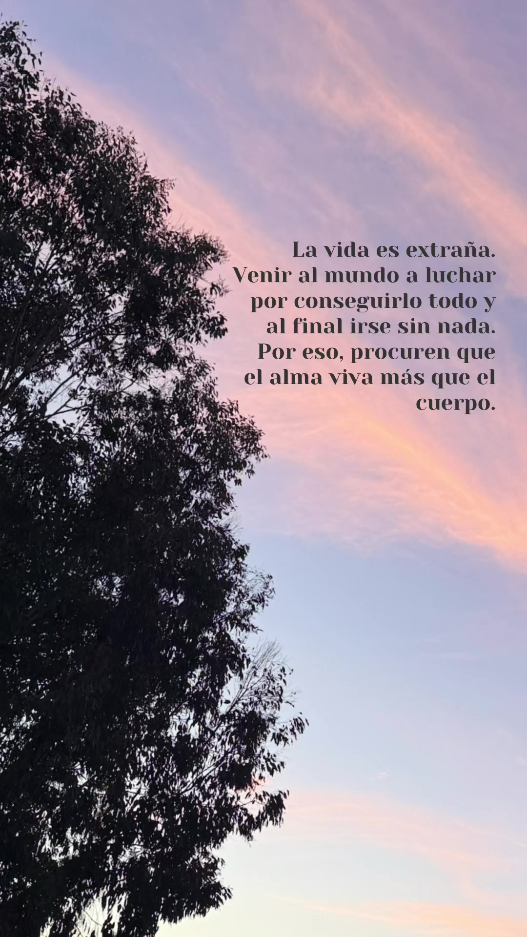 @Cristy 🦦
