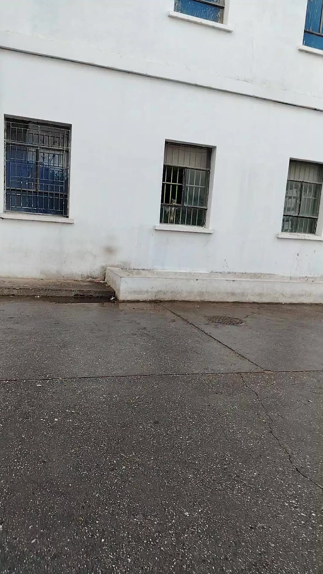 @Victor-LosRodríguez