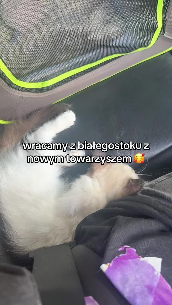 @alainatalkalubiakawe