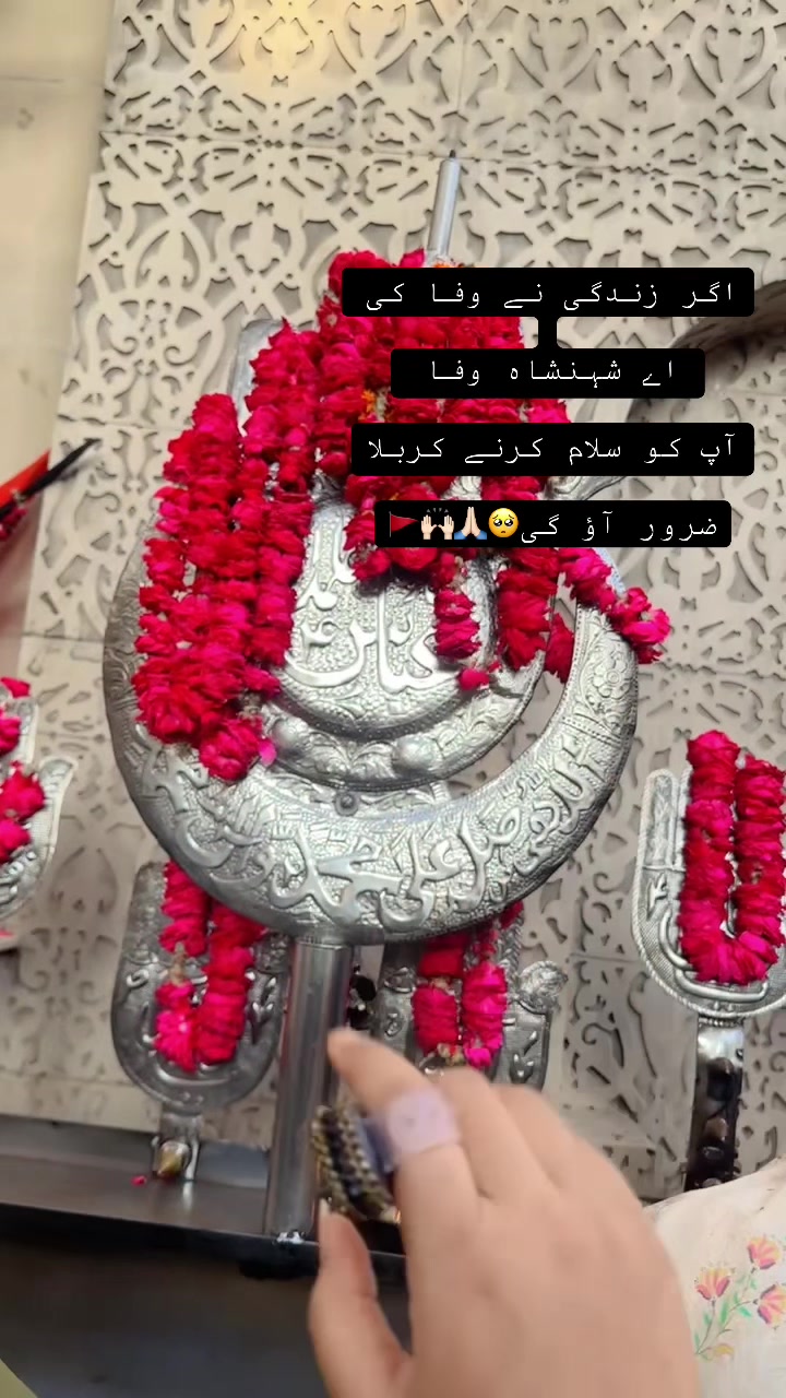 @Zidi Anu😘☑️