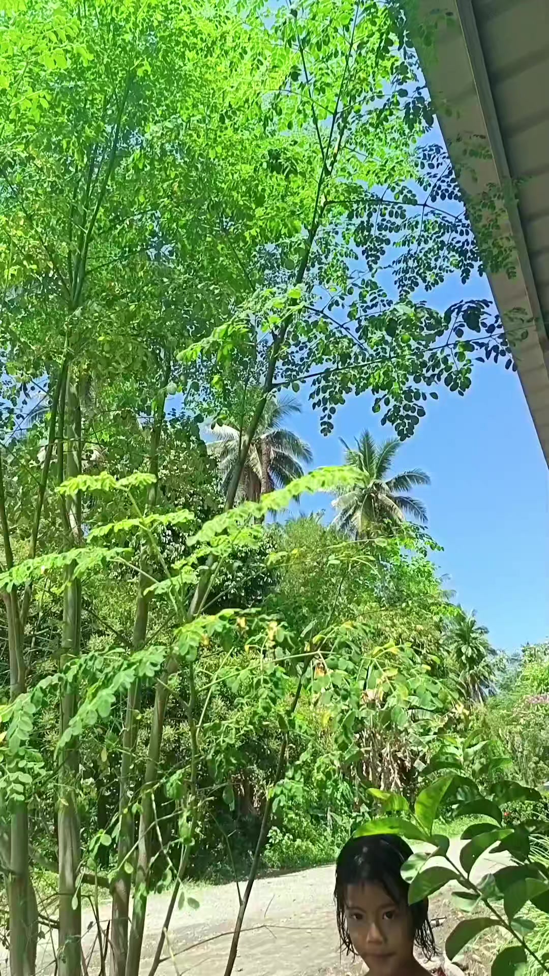 @LianaMae