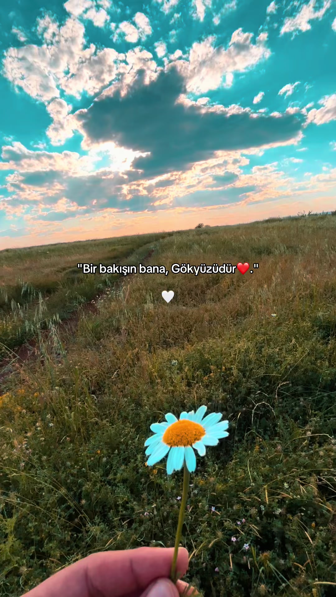 @𝙛𝙖𝙩𝙢𝙖_3