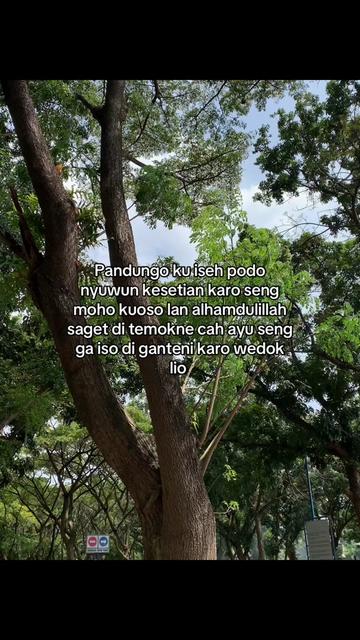 @đđȘđđ đđđ©đ§đđ đâ€ïžđ©č