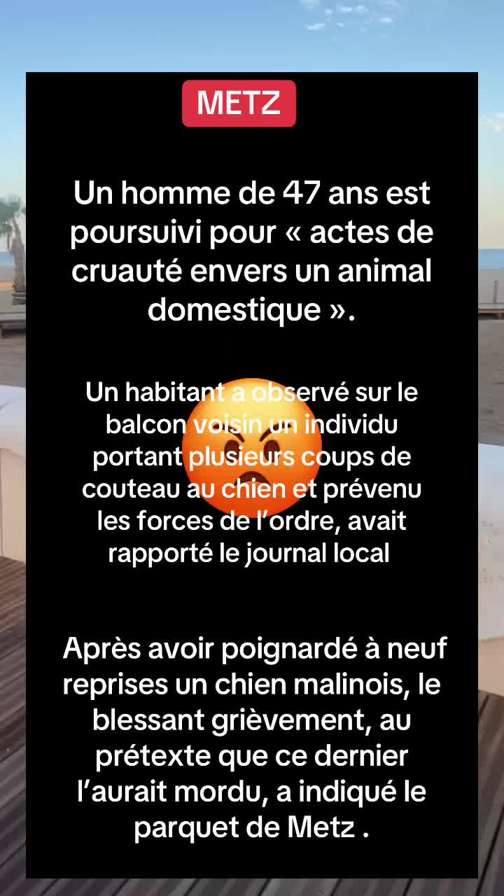 @🌼 Infonews 🌼