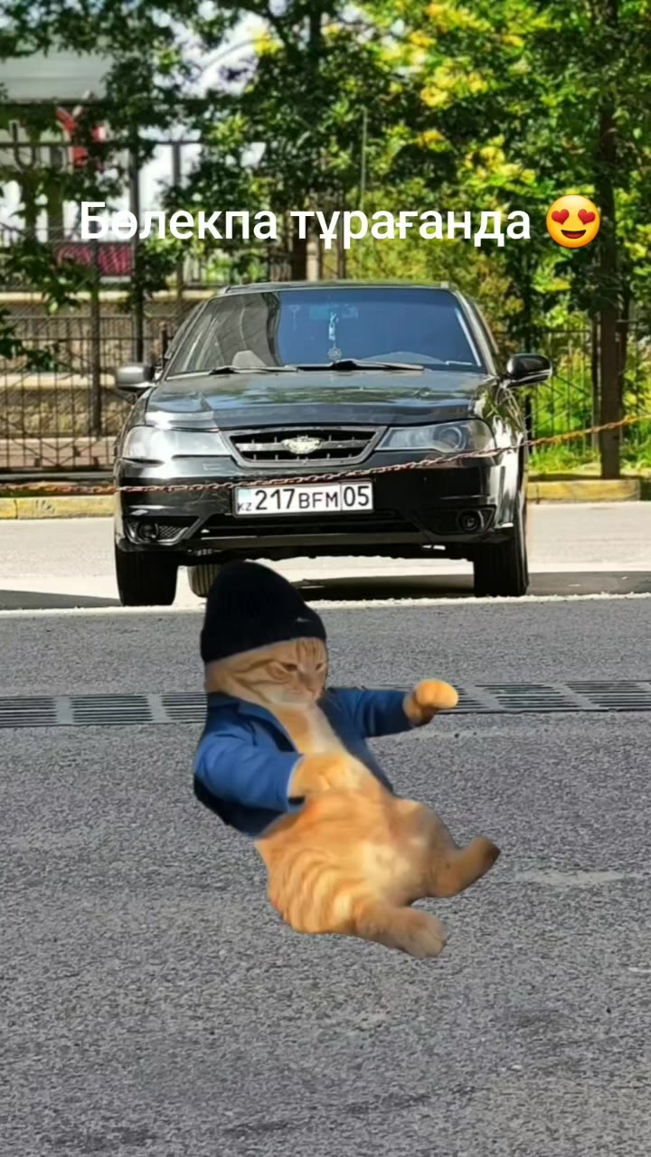 @seyrannnnn