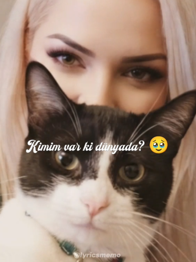 @👑🅺🅸🅽🅶 🅻🅾🆄🅸🆂 🅲🅰🆃👑