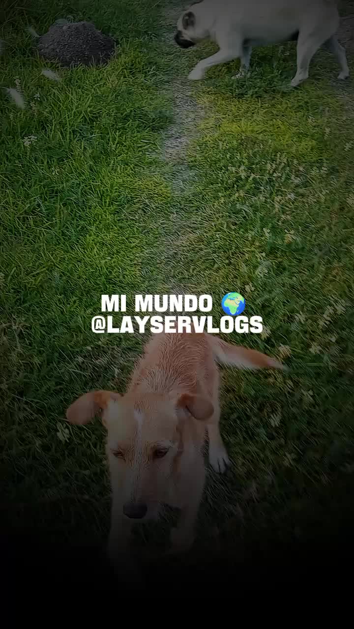 @LayserCarrillo